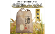 [№5762-1335]【令和７年度産】魚沼産コシヒカリ 精米 5kg 一等米 100％単一原料米 お米 コメ こしひかり 新潟県 魚沼市 魚沼