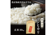 [№5762-1336]令和7年産 真砂屋厳選 魚沼産コシヒカリ（玄米）30kg お米 コメ こしひかり 新潟県 魚沼市 魚沼