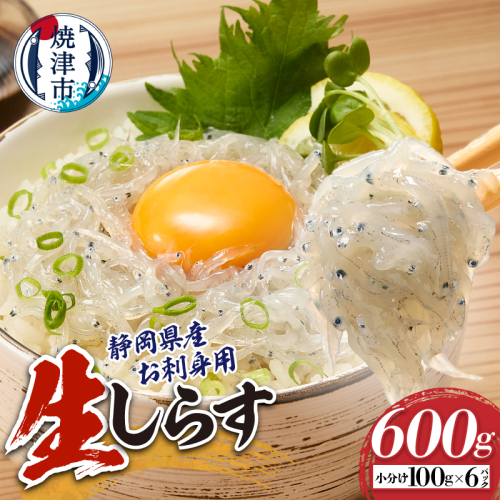a10-1266　静岡県産お刺身用生しらす：100g×6パック　合計600g 2501626 - 静岡県焼津市
