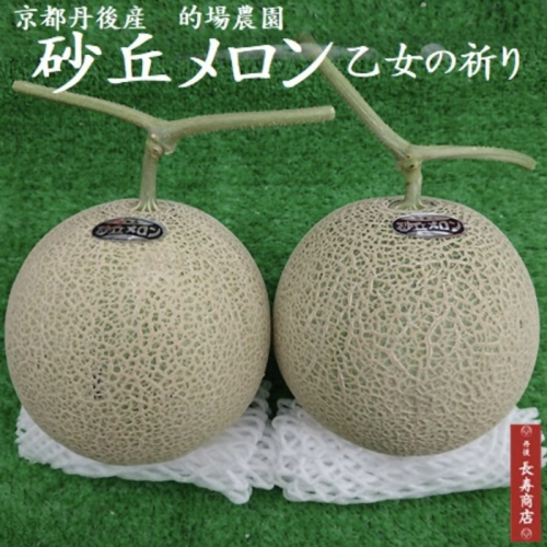 【先行予約】京都丹後久美浜産　砂丘メロン【オトメの祈り】　2Lサイズ／1玉入（2026年7月中旬～発送） 2501645 - 京都府京丹後市