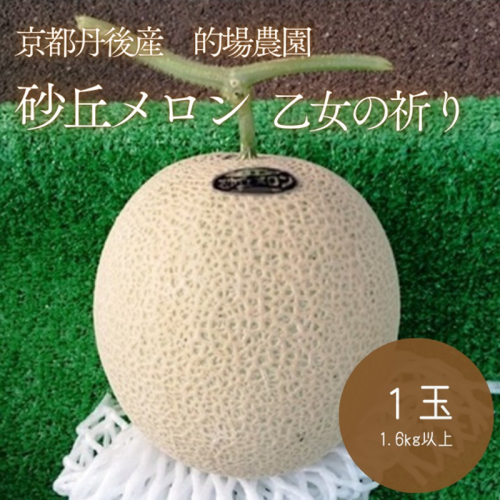 【先行予約】京都丹後久美浜産　砂丘メロン【オトメの祈り】　2Lサイズ／1玉入（2026年7月中旬～発送） 2501645 - 京都府京丹後市
