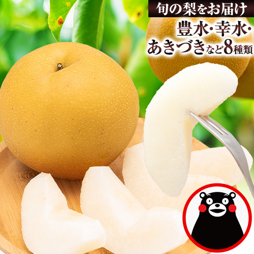 ＜2026年先行予約＞ 梨 くまもと梨 秋 旬 なし 幸水 豊水 先行 果物 くだもの フルーツ 送料無料 あきづき 甘太 新高 新興 約4.5～5kg(8玉～22玉前後) 熊本県産【着日指定不可】《8月下旬-11月中旬頃出荷》旬 果物 お取り寄せ ナシ 2502288 - 熊本県長洲町