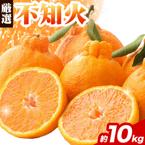 プリッと濃厚!!旬を厳選 不知火 デコポン 同品種 みかん 約10kg+250g 池田鹿蔵農園 《2月上旬-3月末頃より出荷予定》和歌山県 日高町 送料無料 しらぬい でこぽん 濃厚 厳選みかん 厳選デコポン 傷み補償分付き 2502289 - 和歌山県日高町