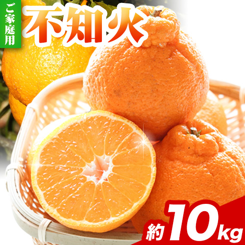 プリッと濃厚 今が旬! 完熟 不知火 デコポン 同品種 みかん 約10kg+250g（傷み補償） 池田鹿蔵農園 @日高町 《2026年2月上旬-3月末頃出荷》和歌山県 日高町 送料無料 しらぬい でこぽん 家庭用 訳あり デコみかん 2502290 - 和歌山県日高町