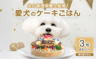 犬用バースデーケーキ ごはん 3号サイズ 直径9cm ごはんタイプ 鶏ミンチ＆豚モモ  BUN'S KITCHEN 送料無料 犬用ケーキ 誕生日ケーキ