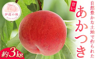 【2026年出荷分先行予約】福島県産 あかつき 約3kg 玉数はおまかせ はこざきフルーツ 伊達の桃 桃 フルーツ 果物 もも モモ momo F21C-423