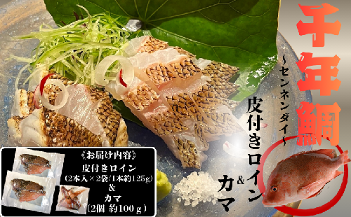 C3-7709／康秀の千年鯛 皮付き ロイン 4本 ＆ カマ 2個付 2502882 - 鹿児島県垂水市