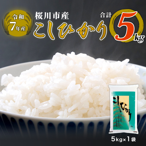 【 令和7年産 】 数量限定 桜川市産 こしひかり 5kg（5kg×1袋） 茨城県産 桜川 米 お米 白米 コメ ごはん 精米 コシヒカリ こしひかり 国産 限定 [AX018sa] 2502906 - 茨城県桜川市