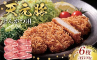 天元豚とんかつ用100g×6 F2Y-6600