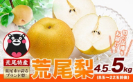 ＜ひるおびで紹介されました＞2026年先行予約 梨 荒尾梨 約4.5～5kg（8～22玉） なし フルーツ 果物 旬 《2026年8月下旬‐11月中旬頃出荷》熊本県 荒尾市 旬の梨 幸水 秋麗 豊水 あきづき 新高 など 合計8種のいずれか（品種指定不可）