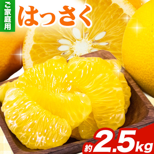 ＜1月より発送＞ご家庭用 訳あり はっさく 八朔 みかん 2.5kg+250g（傷み補償） 池田鹿蔵農園 日高町《2026年1月上旬-3月末頃出荷》和歌山県 日高町 送料無料 はっさくみかん 八朔 訳ありはっさく【配送不可地域あり】 2503157 - 和歌山県日高町