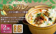 【カレー】 ぶどうの樹シェフ特製 選べるパスタ・グラタン2個セット 焼きカレー カレー カレーライス 冷凍カレー 薬膳カレー 冷凍 福岡県 岡垣町