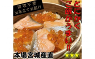 宮城 三陸 本場の味 極上鮭とイクラの味 ご飯が旨い◎鐘崎の「はらこ飯」4P