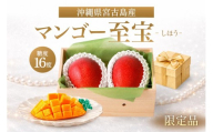 沖縄宮古島産 プレミアムマンゴー「マンゴー至宝（しほう）」（琉球マルシェ）