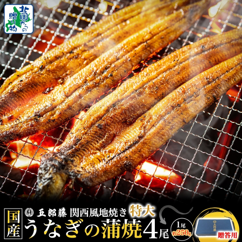 【贈答用】国産有頭旨鰻 250g×4尾 特大サイズ【関西風地焼き 老舗 五郎藤 うなぎ 1kg 小分け unagi ひつまぶし 簡単調理】 099H4345 2503728 - 大阪府泉佐野市