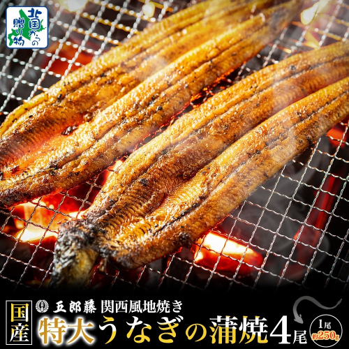 国産有頭旨鰻 250g×4尾 特大サイズ【関西風地焼き 老舗 五郎藤 うなぎ 1kg 小分け unagi ひつまぶし 簡単調理】 099H4344 2503734 - 大阪府泉佐野市