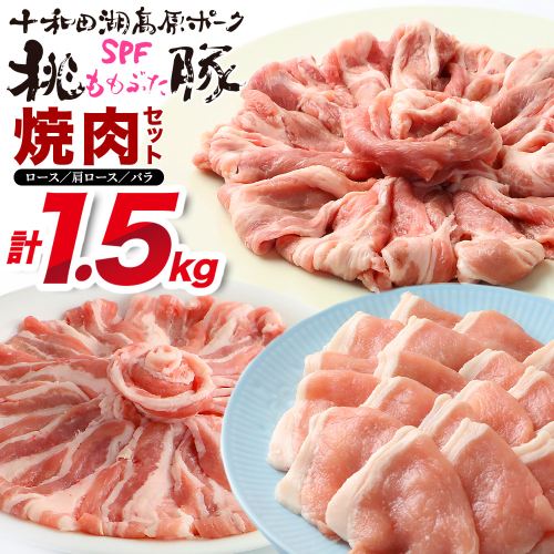 豚肉 桃豚焼肉セット 十和田湖高原ポークSPF桃豚 ローススライス 500g 肩ローススライス 500g バラスライス 500g スライス ロース 肩ロース バラ 計1.5kg 2503742 - 秋田県北秋田市