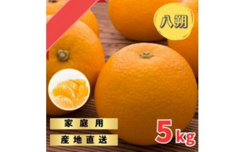 木なりはっさくみかんご家庭用 5kg箱入【WS9】 2504089 - 和歌山県那智勝浦町