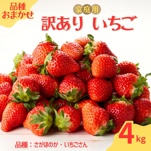 ★予約受付★平川いちご農園【2026年3月～5月 順次配送】玄海町産いちご（家庭用・訳あり）4kg ／ 送料無料 いちご さがほのか いちごさん 希少 果物 くだもの フルーツ デザート 予約受付 2504222 - 佐賀県玄海町