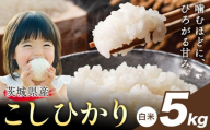 米 こしひかり 白米 茨城 ふるさと米 5kg《2月中旬-3月末頃出荷》 茨城県 結城市 米 国産 お米 おこめ お弁当 おにぎり