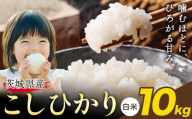 米 こしひかり 白米 茨城 ふるさと米 10kg《2月中旬-3月末頃出荷》 茨城県 結城市 米 国産 お米 おこめ お弁当 おにぎり