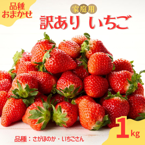 ★予約受付★平川いちご農園【2026年1月～5月 順次配送】玄海町産いちご（家庭用・訳あり）1kg ／ 送料無料 いちご さがほのか いちごさん 希少 果物 くだもの フルーツ デザート 予約受付 2504248 - 佐賀県玄海町