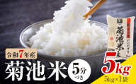 令和7年産 熊本県産 菊池米 5分づき 5kg 1袋5kg 株式会社くまもとごはん 《30日以内に出荷予定(土日祝除く)》米 お米 令和7年産 九州産 熊本県産  送料無料