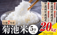 令和7年産 熊本県産 菊池米 5分づき 20kg 1袋5kg 株式会社くまもとごはん 《30日以内に出荷予定(土日祝除く)》米 お米 令和7年産 九州産 熊本県産  送料無料