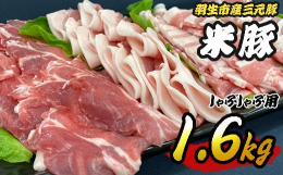 埼玉県羽生市産の米豚 しゃぶしゃぶセット 1.6kg（200g×2パック×4種＜ロース・バラ・肩ロース・モモ＞）間中さんが生育する米豚は健康な米豚です。「健康な豚＝おいしい豚」をモットーに、羽生市産米