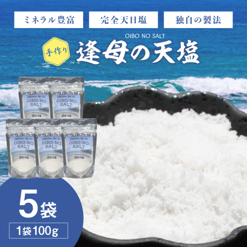 手作り天然塩 【逢母の天塩】100g×5パック 2504657 - 和歌山県御坊市