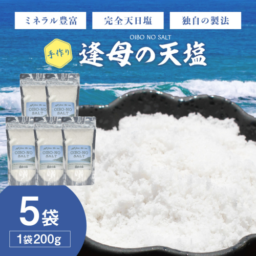 手作り天然塩 【逢母の天塩】200g×5パック 2504750 - 和歌山県御坊市
