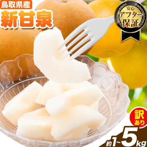 訳あり 新甘泉 約1kg 約3kg 約5kg《2026年8月下旬-9月下旬頃出荷》新甘泉 梨 訳あり ご家庭用 鳥取県 八頭町 なし 果物 フルーツ 特産品 送料無料 果汁 デザート 八頭 2505062 - 鳥取県八頭町