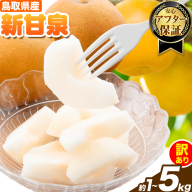 訳あり 新甘泉 約1kg 約3kg 約5kg《2026年8月下旬-9月下旬頃出荷》新甘泉 梨 訳あり ご家庭用 鳥取県 八頭町 なし 果物 フルーツ 特産品 送料無料 果汁 デザート 八頭