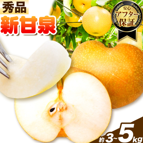 【秀品(赤秀)】先行予約 新甘泉  約3kg 約5kg《2026年8月下旬-9月下旬頃出荷》鳥取県 八頭町 梨 なし 果物 フルーツ 特産品 秀品 赤秀 贈答用 先行予約 送料無料 果汁 デザート 2505063 - 鳥取県八頭町