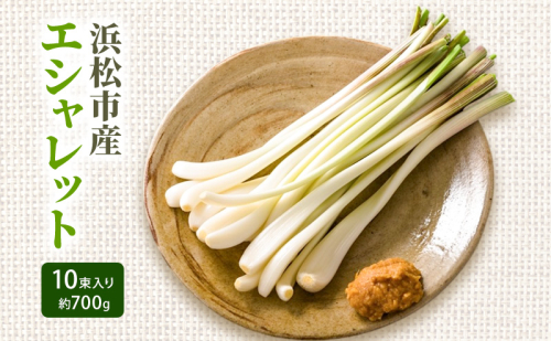 静岡県浜松市産エシャレット 10束入り 約700g 箱入り エシャレット 国産 野菜 静岡 浜松市 【配送不可：北海道・沖縄・離島】 2505119 - 静岡県浜松市