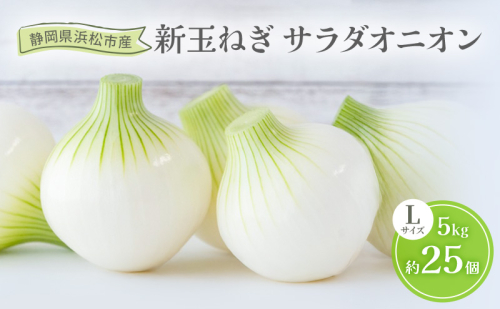 静岡県浜松市産 新玉ねぎ サラダオニオン Lサイズ 5kg 約25個 野菜 新玉ねぎ たまねぎ タマネギ サラダ オニオン 国産 浜松市 静岡 【配送不可：離島】 2505120 - 静岡県浜松市