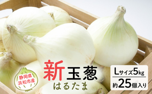 静岡県浜松市産 新玉葱 はるたま Lサイズ 5kg 約25個 野菜 新玉ねぎ たまねぎ タマネギ サラダ オニオン 国産 浜松市 静岡 【配送不可：離島】 2505122 - 静岡県浜松市