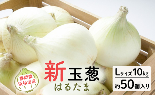 静岡県浜松市産 新玉葱 はるたま Lサイズ 10kg 約50個 野菜 新玉ねぎ たまねぎ タマネギ サラダ オニオン 国産 浜松市 静岡 【配送不可：離島】 2505123 - 静岡県浜松市