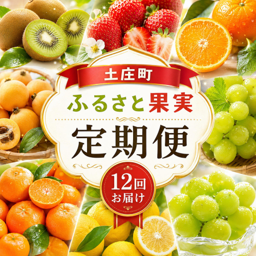 フルーツ 果物 定期便 12回 小豆島 シャインマスカット デコポン いちご みかん キウイ びわ 甘夏柑 スイートスプリング 女峰 香緑 ふるさと果実 香川県産 定期 お楽しみ 毎月 お届け 果実 旬 冷蔵 常温 国産 土庄町 2505180 - 香川県土庄町