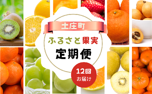 【 小豆島 】【12回お届け】土庄町 ふるさと果実 定期便 12回 2505180 - 香川県土庄町