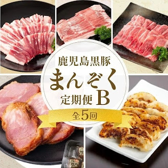 ＜定期便・全5回＞かごしま黒豚まんぞく定期便B (月1回×5ヶ月) 2505397 - 鹿児島県肝付町