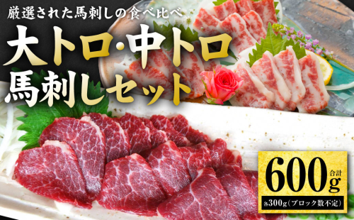 大トロ・中トロ馬刺しのセット 600g (各300g) 馬さし お肉 馬肉 刺身 刺し身 馬刺し 馬刺しブロック 霜降り おかず おつまみ 熊本県 八代市 2505401 - 熊本県八代市