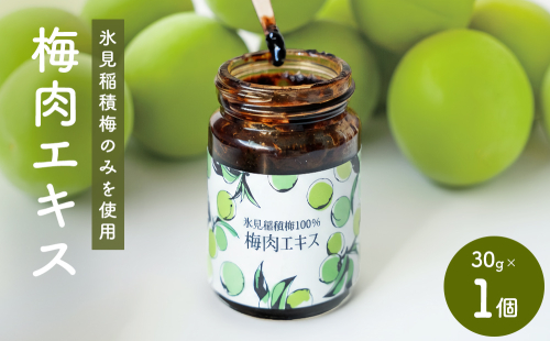 梅肉エキス 氷見稲積梅100% 1個 富山県 氷見市 国産 うめ 青梅 クエン酸 2505465 - 富山県氷見市