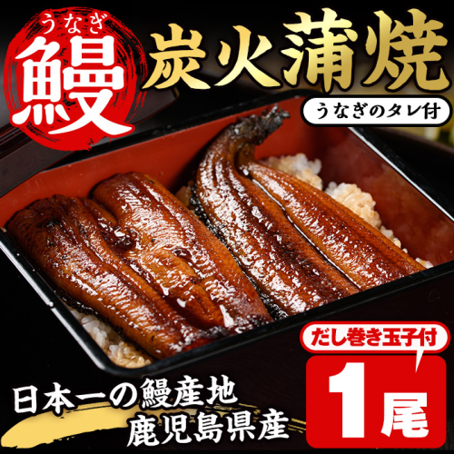 No.310 鹿児島県産うなぎの炭火蒲焼(1尾・タレ付)と自慢の出汁巻き卵1本付！ 国産 九州産 鰻 ウナギ うな重 うな丼 蒲焼 卵焼き 出汁巻き 炭火焼 おかず お土産 セット 冷凍【家むら】 25054 - 鹿児島県日置市