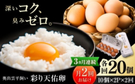 《月2回 × 20個 3ヶ月コース》 たたらの里平飼い 彩り天佑卵 全6回定期便 島根県雲南市/株式会社たなべたたらの里（たなべ森の鶏舎）｜たまご 卵 放牧卵 平飼い卵 新鮮 国産 定期便 [AIDL021]