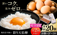 《月2回 × 20個 6ヶ月コース》 たたらの里平飼い 彩り天佑卵 全12回定期便 島根県雲南市/株式会社たなべたたらの里（たなべ森の鶏舎）｜たまご 卵 放牧卵 平飼い卵 新鮮 国産 定期便 [AIDL022]