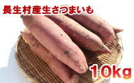 J01-002 長生村産生さつまいも 紅はるか 10kg