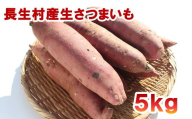 J01-001 長生村産生さつまいも 紅はるか 5kg
