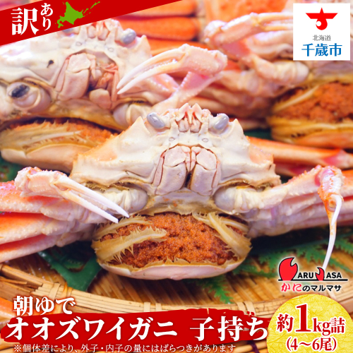 北海道産【朝ゆで】訳ありオオズワイガニ メス(小) 1.0kg詰 子持ち 内子 外子 道産品 オオズワイ ズワイガニ ずわい蟹 カニ 蟹 規格外品 不揃い 訳アリ 訳有り 2505842 - 北海道千歳市