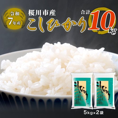 【 令和7年産 】数量限定 桜川市産 こしひかり 10kg（5kg×2袋） 茨城県産 桜川 米 お米 白米 コメ ごはん 精米 コシヒカリ こしひかり 国産 限定 [AX009sa] 2506025 - 茨城県桜川市
